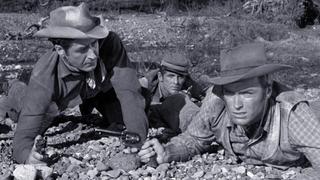 Incident of the Coyote Weed
