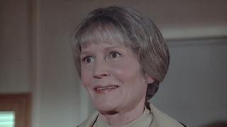 The Four Pound Brick The Four Pound Brick