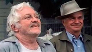 The Trees, the Bees and T.T. Flowers