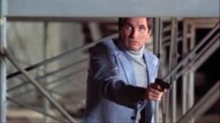 Lions, Tigers, Monkeys and Dogs