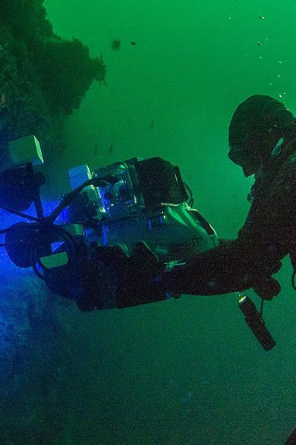 Alien Sharks: Close Encounters