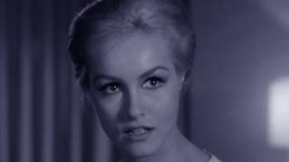 How Much a Pound Is Albatross?