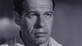 Hey Moth, Come Eat the Flame