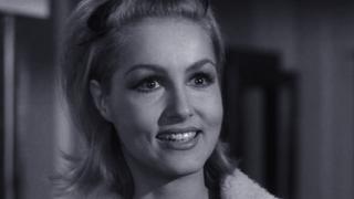 Give the Old Cat a Tender Mouse Give the Old Cat a Tender Mouse