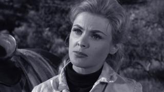 Shall Forfeit His Dog and Ten Shillings to the King