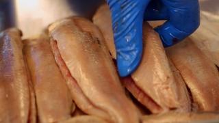 Bizarre Foods: Delicious Destinations