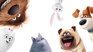 The Secret Life of Pets
