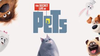  watch The Secret Life of Pets