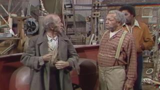 A Guest in the Yard A Guest in the Yard