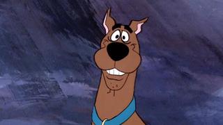 A Night of Fright Is No Delight