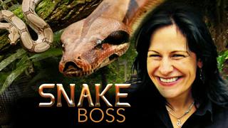 Snake Boss