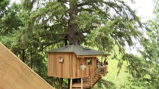 Treehouse Masters
