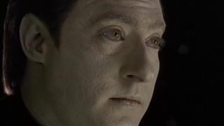 The Bonding The Bonding