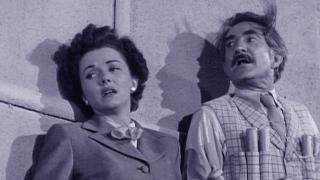 The Human Bomb The Human Bomb