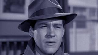 Semi-Private Eye Semi-Private Eye