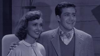 Whistling Bird Whistling Bird