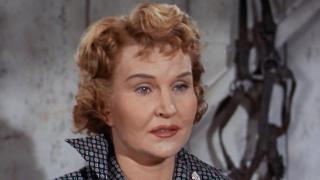 Stolen Elephant Stolen Elephant