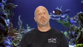 Tanked