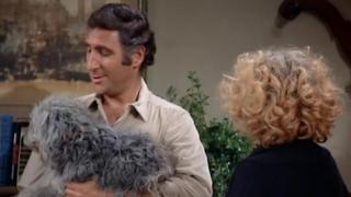 Alex's Old Buddy Alex's Old Buddy