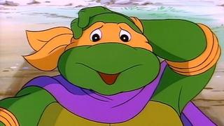 The Incredible Shrinking Turtles The Incredible Shrinking Turtles