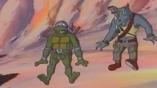 Invasion of the Turtle Snatchers