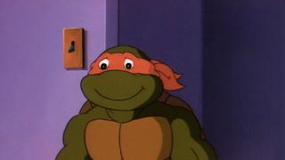 Teenage Mutant Ninja Turtles
