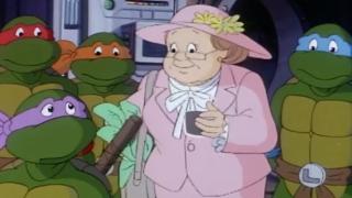 Teenage Mutant Ninja Turtles