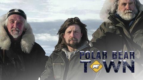 Polar Bear Town