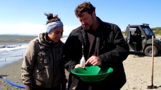 Prospectors and Miners