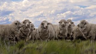 Heat and Dust Heat and Dust