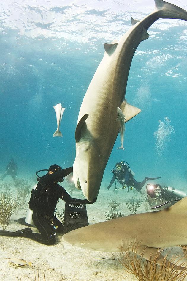 Blue Water Savages