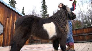 Springing Into Action Springing Into Action