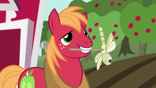 Brotherhooves Social Brotherhooves Social