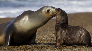 Life on the Edge Life on the Edge