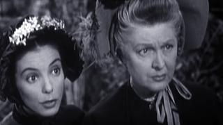 The Select Females The Select Females