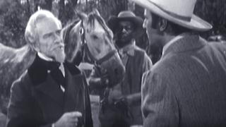 A Horse for Old Hickory A Horse for Old Hickory