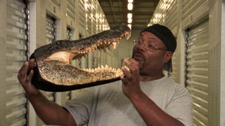 Don't Hate the Gator, Hate the Gate Don't Hate the Gator, Hate the Gate