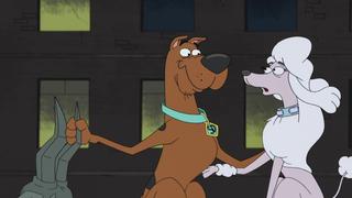 Poodle Justice