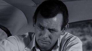 All the Scared Rabbits All the Scared Rabbits