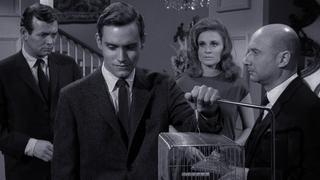 With Strings Attached With Strings Attached