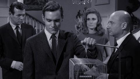 With Strings Attached