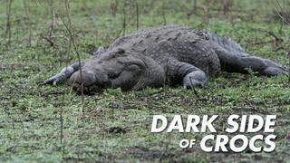 Dark Side of Crocs