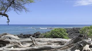 Couple Moves to the Big Island