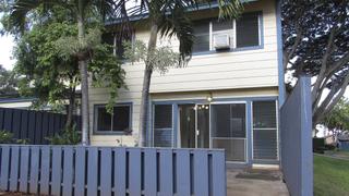 Chicagoan and His Dogs Leave Behind Snow for Surf and Sun on Oahu Chicagoan and His Dogs Leave Behind Snow for Surf and Sun on Oahu