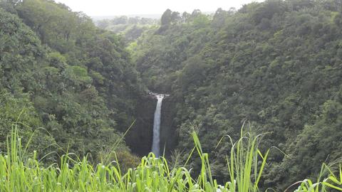 South Florida Couple Hunts for a New Home on the Big Island