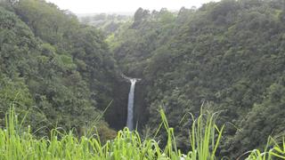 South Florida Couple Hunts for a New Home on the Big Island South Florida Couple Hunts for a New Home on the Big Island