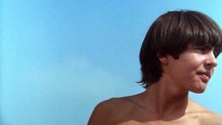 Don't Look a Gift Horse in the Mouth