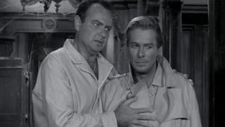 A Family Portrait A Family Portrait