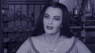 Love Comes to Mockingbird Heights