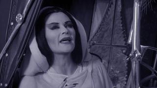 Herman, the Master Spy